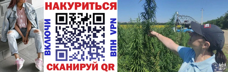 Шишки марихуана индика  Чаплыгин 